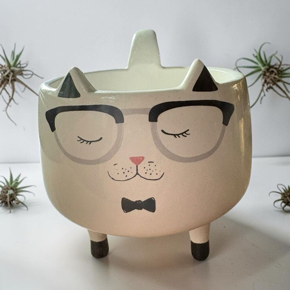 Arlington Design Cat Mug Planter Legs, Glasses, & Black Ears, Footed Mug 12 Oz.